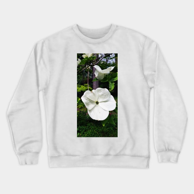 Laeken Park 1 Crewneck Sweatshirt by nastiaart